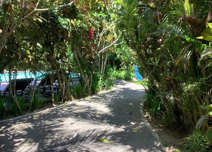 Jungle Hideaway 2 - Pool View Villa