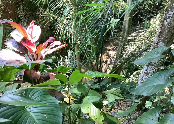Villa Jungle Hideaway 2 - Pool View Ubud