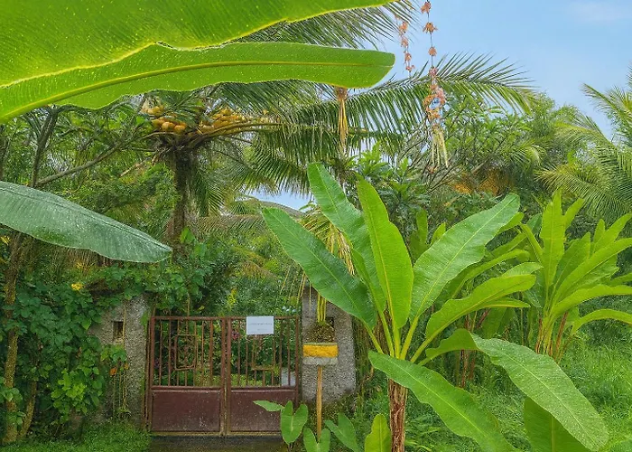 Villa Jungle Hideaway 2 - Pool View