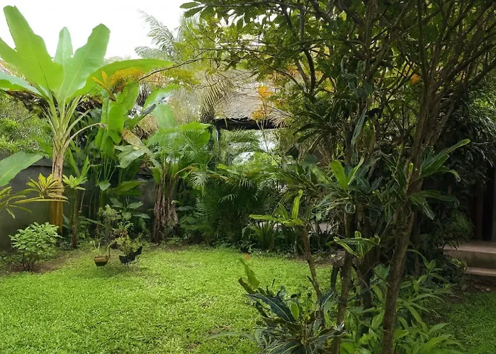 Villa Jungle Hideaway 2 - Pool View