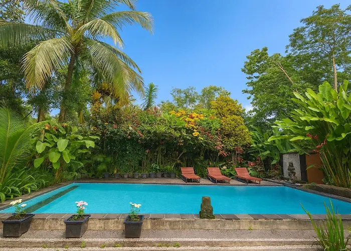 Jungle Hideaway 2 - Pool View Ubud