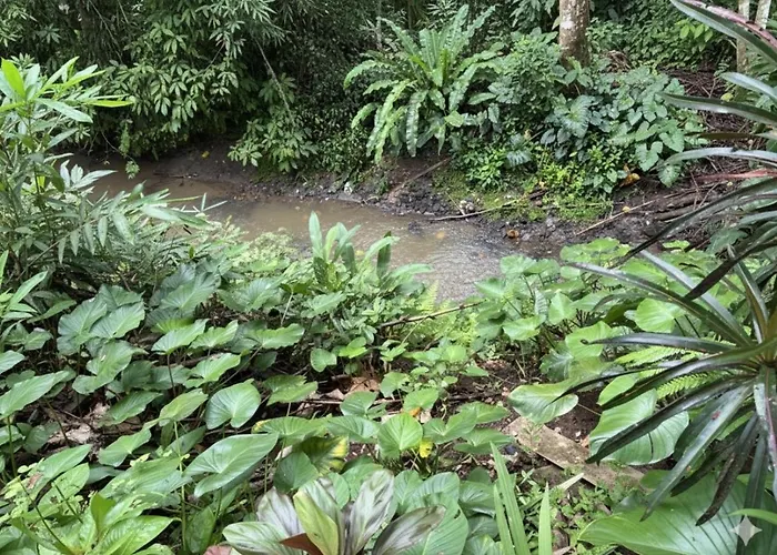 Jungle Hideaway 2 - Pool View * Ubud