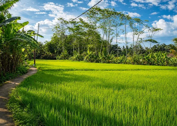 Jungle Hideaway 2 - Pool View * Ubud