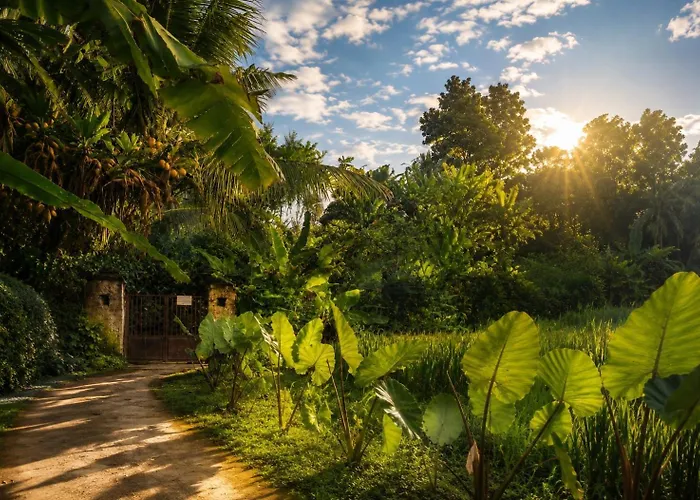 Villa Jungle Hideaway 2 - Pool View