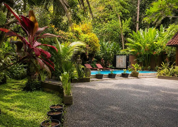 Jungle Hideaway 2 - Pool View Ubud